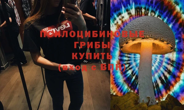 a pvp Богородицк