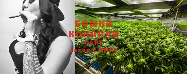 каннабис Богданович