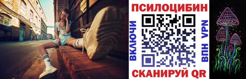 Псилоцибиновые грибы прущие грибы hydra рабочий сайт Мглин наркошоп